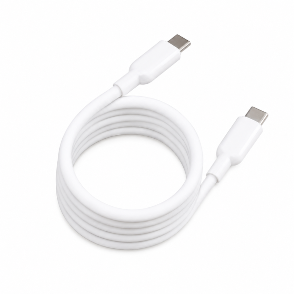 Type-C to Type-C Cable (100W)