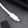 Type-C to Type-C Cable (100W)