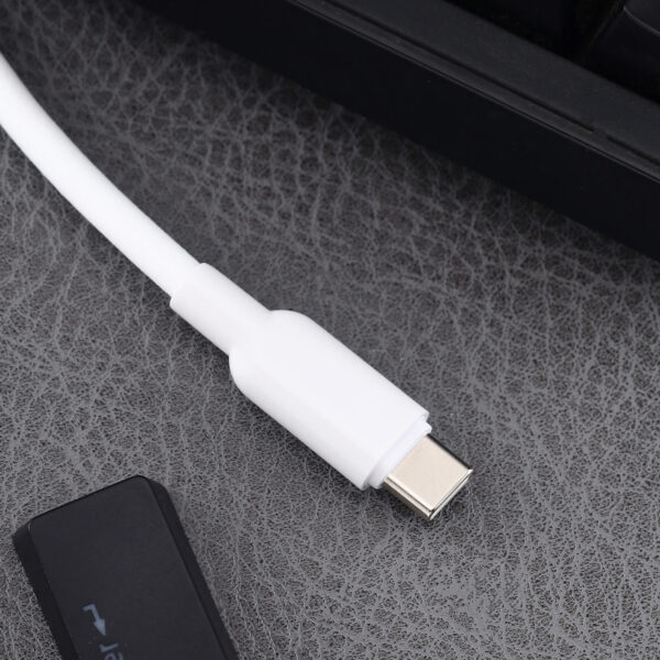 Type-C to Type-C Cable (100W)