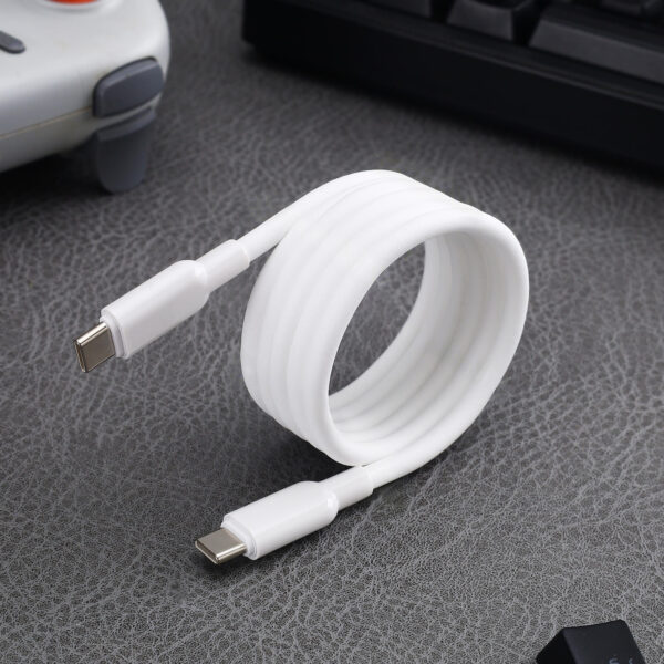 Type-C to Type-C Cable (100W)