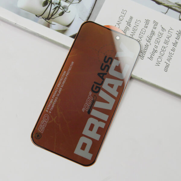 iPhone Privacy Glass (11–16 Series)